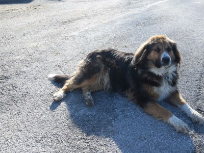 Apartment Ferienwohnung WEITSICHT - Features photo 53