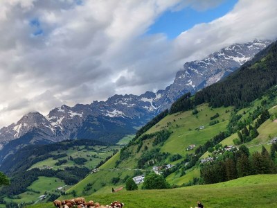 Apartment Wohnung, Erdgeschoss, 1-10 Personen - Outdoor photo 11