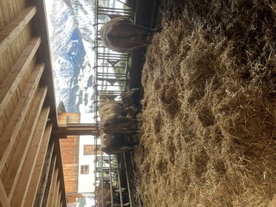 Apartment Wohnung, Erdgeschoss, 1-10 Personen - Outdoor photo 16