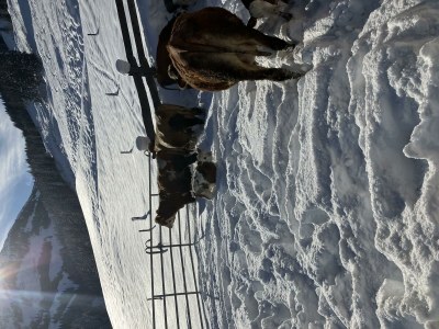 Apartment Wohnung, Erdgeschoss, 1-10 Personen - Outdoor photo 17