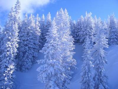 Apartment Apartment Schneeberg - Outdoor photo 37