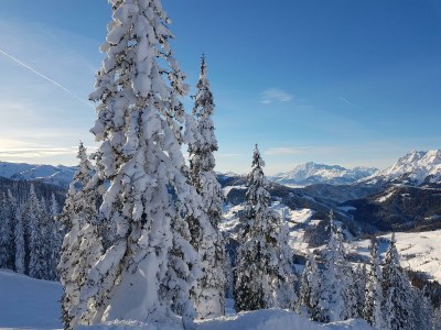 Apartment Apartment Schneeberg - Outdoor photo 42