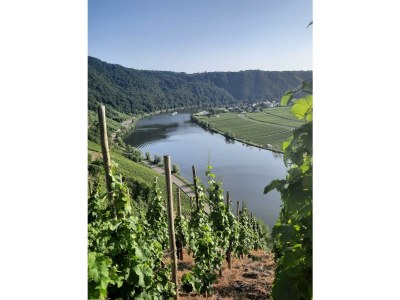 Apartment Ferienhaus "Kleine Auszeit" - Outdoor photo 7