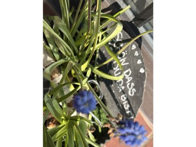 Apartment Appartement/Fewo, Dusche oder Bad, WC, 2 Schlafräu - Outdoor photo 8