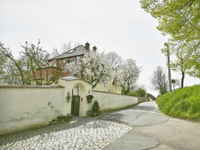 Holiday apartment Rittergut Oetzsch - Outdoor photo 9