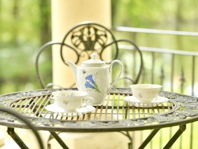 Holiday apartment Rittergut Oetzsch - Features photo 24