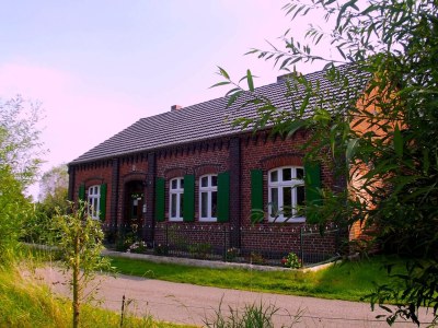 Holiday house Elbferienhaus am See - Outdoor photo 3