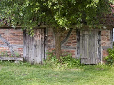 Holiday house Elbferienhaus am See - Outdoor photo 11