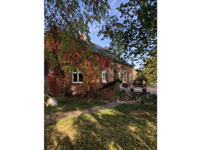 Holiday house Elbferienhaus am See - Outdoor photo 12