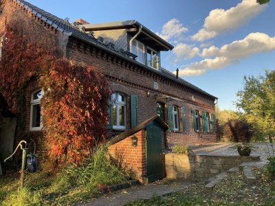 Holiday house Elbferienhaus am See - Outdoor photo 13