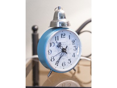 Holiday house Elbferienhaus am See - Features photo 26