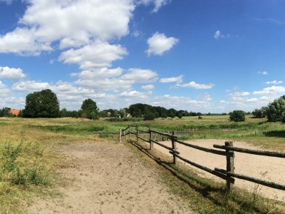 Holiday house Elbferienhaus am See - Environment photo 35