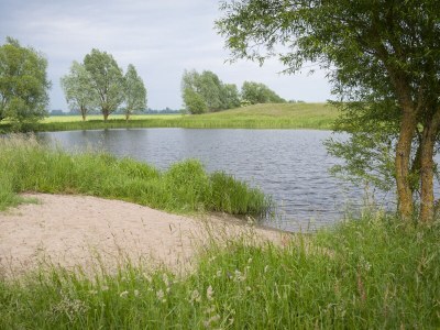 Holiday house Elbferienhaus am See - Environment photo 36