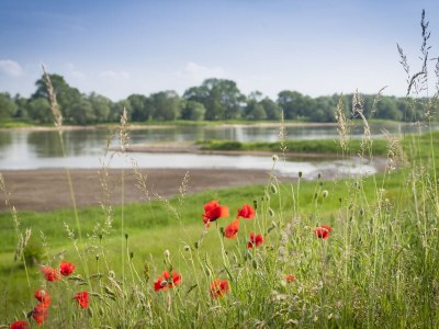 Holiday house Elbferienhaus am See - Environment photo 37