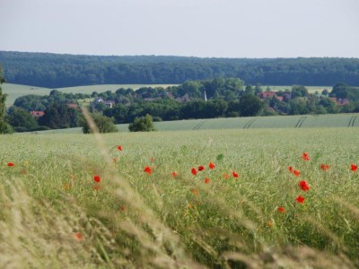 Holiday house Wonderful-living at the Elm - Environment photo 12