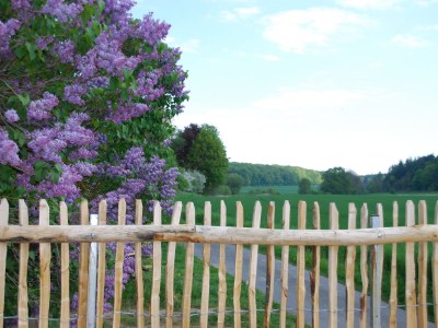 Holiday house Wonderful-living at the Elm - Environment photo 13