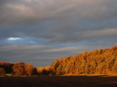 Holiday house Wonderful-living at the Elm - Environment photo 14