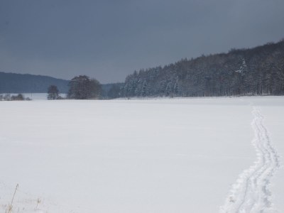 Holiday house Wonderful-living at the Elm - Environment photo 15