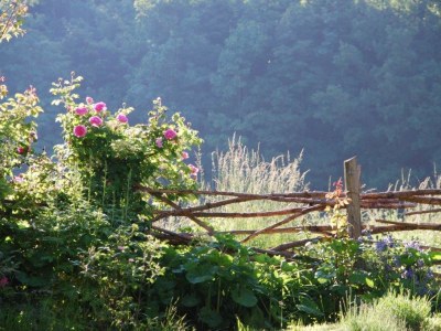 Holiday house Wonderful-living at the Elm - Environment photo 16