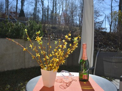 Apartment Rondshagen - Outdoor photo 5