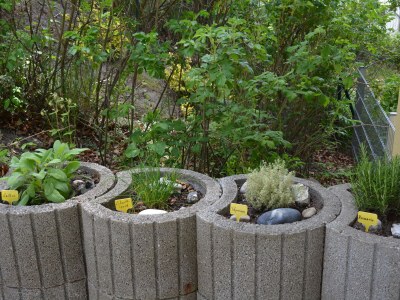 Apartment Rondshagen - Outdoor photo 6