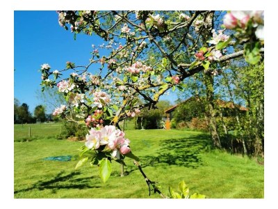 Holiday house Op Stok - Outdoor photo 6