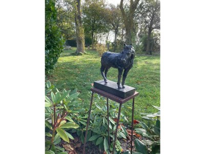 Holiday house Op Stok - Outdoor photo 8