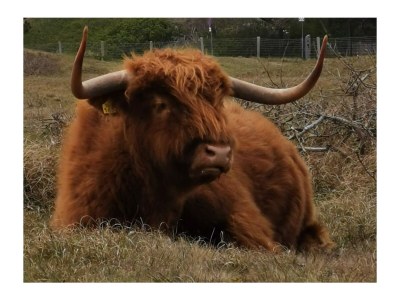 Holiday house Op Stok - Environment photo 30