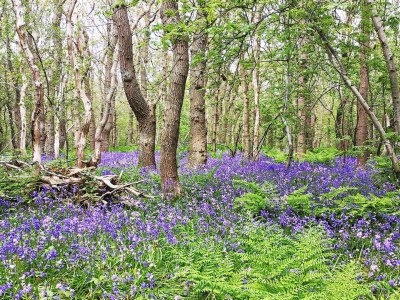 Holiday house Op Stok - Environment photo 35