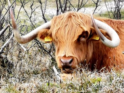 Holiday house Op Stok - Environment photo 36