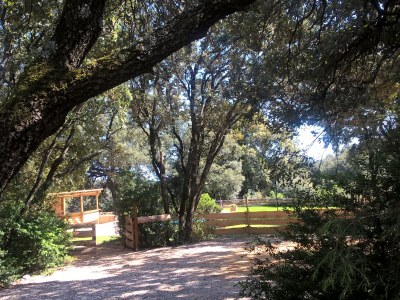 Holiday house Grand Chene - Outdoor photo 13