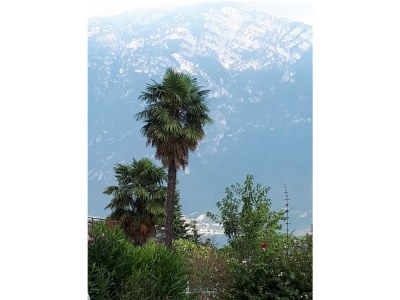 Holiday apartment Villa Romantica OG 1 - Environment photo 33