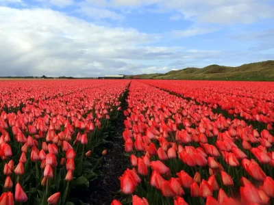 Holiday apartment Kalla Anka - Environment photo 22