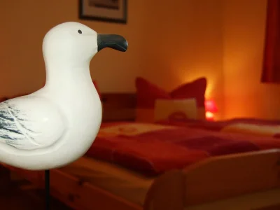 Holiday house On the lake shore in the annexe - Features photo 15