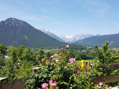 Holiday apartment Family Brendel - Outdoor photo 10