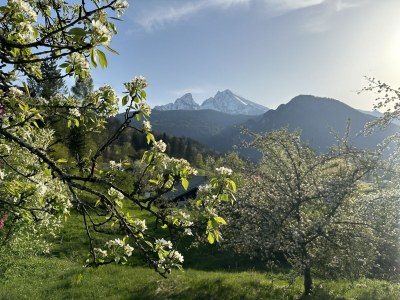 Holiday apartment Family Brendel - Outdoor photo 12