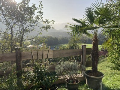 Holiday apartment Family Brendel - Outdoor photo 13