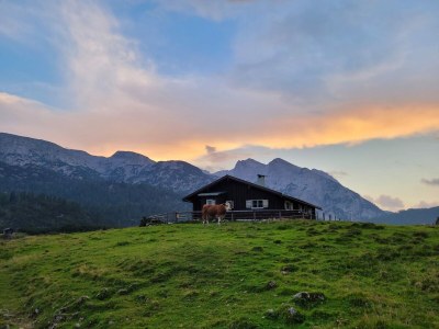 Holiday apartment Family Brendel - Environment photo 33