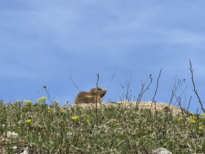 Holiday apartment Family Brendel - Environment photo 35