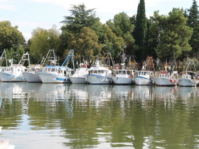 Holiday apartment Fe-wo  "Marko" - Environment photo 34