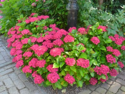 Apartment Norder - Outdoor photo 11