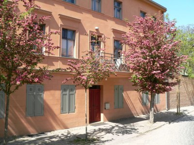 Holiday apartment Large garden apartment. - Outdoor photo 2