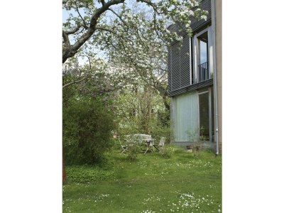 Holiday apartment Large garden apartment. - Outdoor photo 6