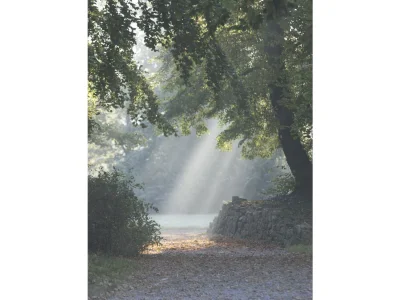 Holiday apartment Large garden apartment. - Document photo 21