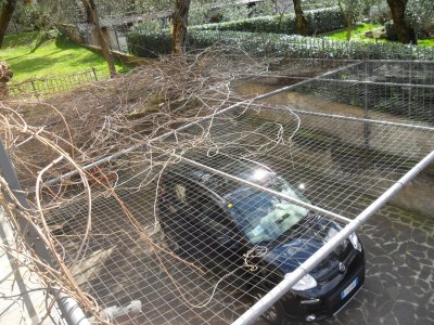 Holiday apartment Villa Anna - Outdoor photo 7