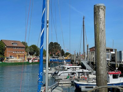 Holiday house Haus Vier Austern - Environment photo 27