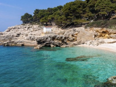 Holiday apartment Stone House Dalmatia Apt. 2 - Environment photo 27