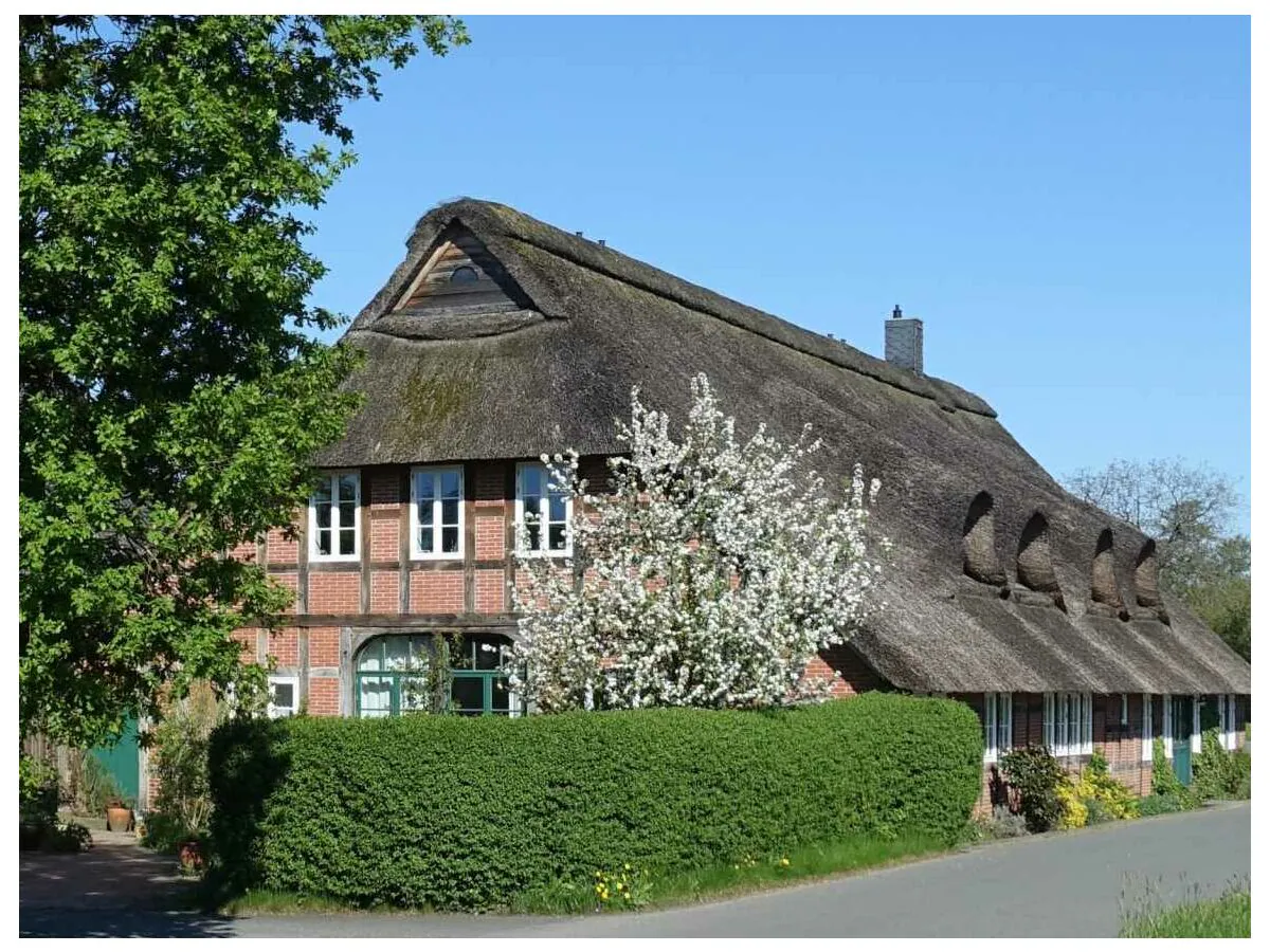 Holiday apartment "Auf dem Deich" - Holiday apartments Bremen