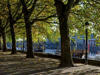 Holiday apartment "Auf dem Deich" - Holiday apartments Bremen - Environment photo 21