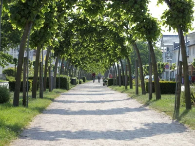 Holiday apartment Zum Fährmann - Environment photo 21